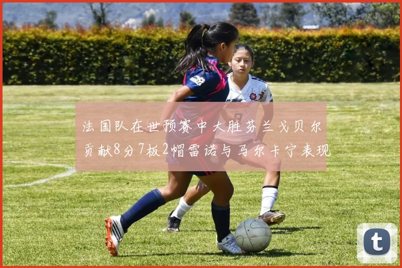 法国队在世预赛中大胜芬兰戈贝尔贡献8分7板2帽雷诺与马尔卡宁表现抢眼
